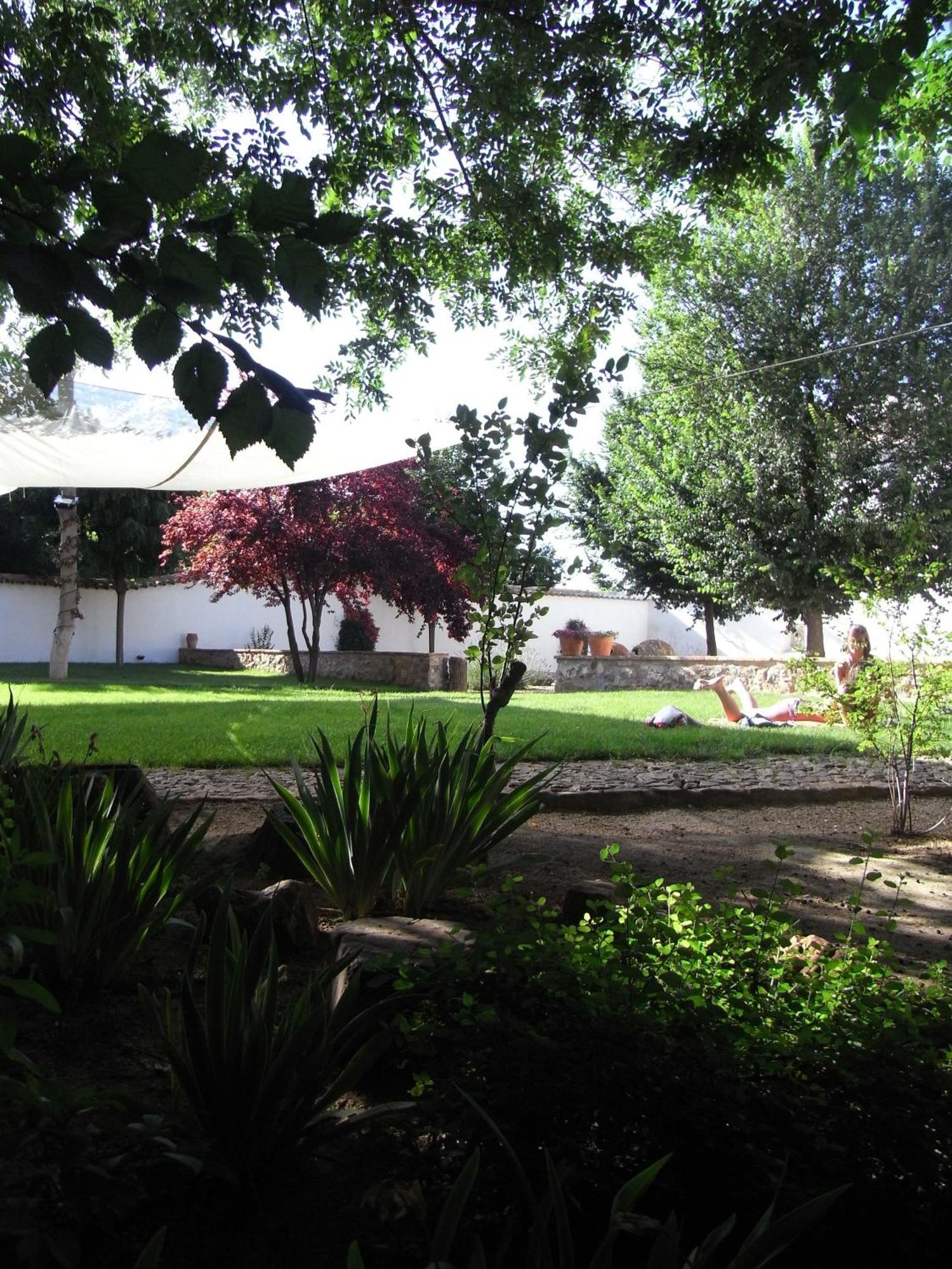 Casa Rural La Alameda Madridejos Buitenkant foto