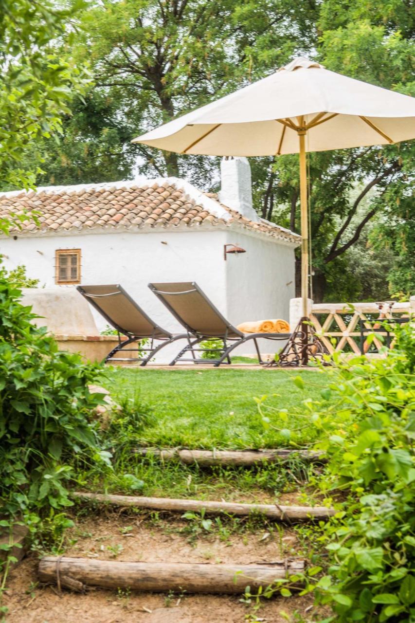Casa Rural La Alameda Madridejos Buitenkant foto