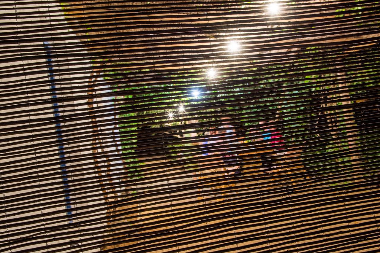 Casa Rural La Alameda Madridejos Buitenkant foto