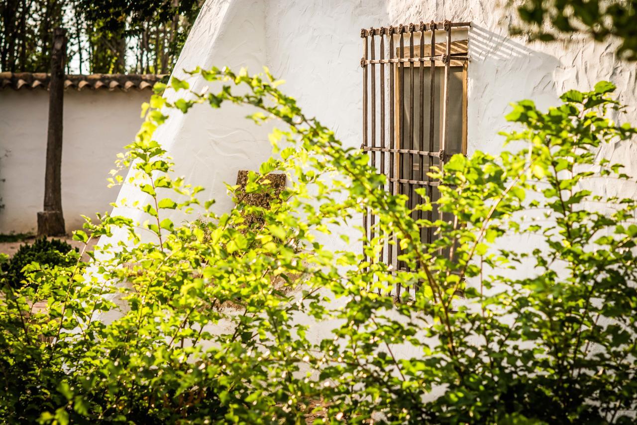 Casa Rural La Alameda Madridejos Buitenkant foto